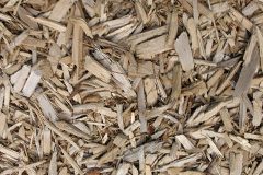biomass boilers Saunderton Lee